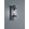 Trio Sambesi Outdoor Wall Light anthracite, 1-light source, Motion sensor
