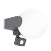 Eglo RUBIO Outdoor Wall Light black, 1-light source, Motion sensor
