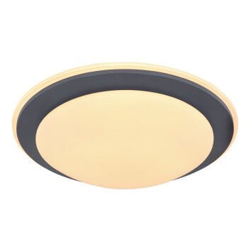 Globo DEGGI Ceiling Light LED white, 1-light source