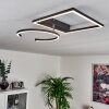 Frederick Ceiling Light LED black, white, 1-light source