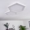 Fanebal Ceiling Light LED white, 1-light source