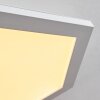Fanebal Ceiling Light LED white, 1-light source