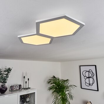 Fanebal Ceiling Light LED white, 1-light source