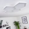 Fanebal Ceiling Light LED white, 1-light source