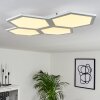Fanebal Ceiling Light LED white, 1-light source