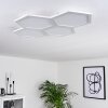 Fanebal Ceiling Light LED white, 1-light source