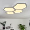 Fanebal Ceiling Light LED white, 1-light source