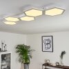 Fanebal Ceiling Light LED white, 1-light source