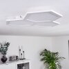 Fanebal Ceiling Light LED white, 1-light source
