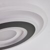 Wawo Ceiling Light LED grey, white, 1-light source, Remote control
