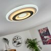 Wawo Ceiling Light LED grey, white, 1-light source, Remote control