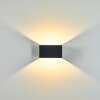 Tématou Outdoor Wall Light LED black, 1-light source
