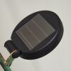 Taft solar light LED amber, green, copper, 1-light source