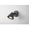 Trio Kaveri Outdoor Wall Light anthracite, 1-light source