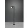 Trio Kaveri path light anthracite, 1-light source