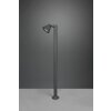 Trio Kaveri path light anthracite, 1-light source