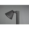 Trio Kaveri path light anthracite, 1-light source