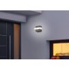 Trio Mitchell Outdoor Wall Light LED anthracite, 1-light source