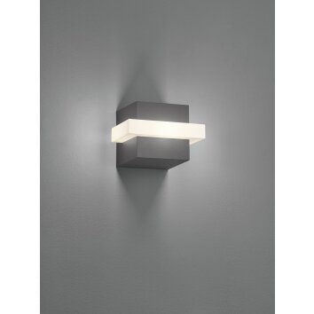 Trio Mitchell Outdoor Wall Light LED anthracite, 1-light source