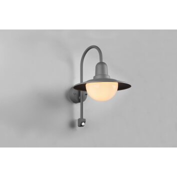 Trio Norman Outdoor Wall Light anthracite, 1-light source, Motion sensor