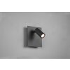 Trio Tunga Outdoor Wall Light LED anthracite, 1-light source