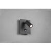 Trio Tunga Outdoor Wall Light LED anthracite, 1-light source, Motion sensor