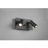 Trio Tunga Outdoor Wall Light LED anthracite, 2-light sources, Motion sensor
