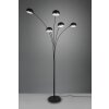 Reality Dito Floor Lamp black, 5-light sources