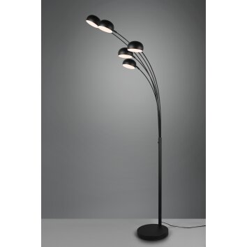 Reality Dito Floor Lamp black, 5-light sources