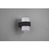 Reality Molina Outdoor Wall Light LED anthracite, 2-light sources