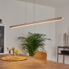 Mattawan Pendant Light LED matt nickel, 1-light source