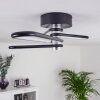 Olul Ceiling Light LED black, white, 2-light sources