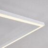 Moya Ceiling Light LED white, 1-light source