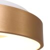 Steinhauer Ringlede Ceiling Light gold, white, 1-light source