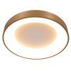 Steinhauer Ringlede Ceiling Light gold, white, 1-light source