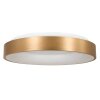 Steinhauer Ringlede Ceiling Light gold, white, 1-light source