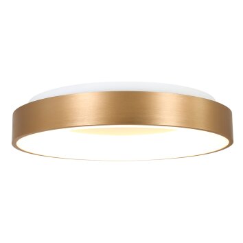 Steinhauer Ringlede Ceiling Light gold, white, 1-light source
