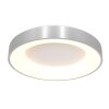 Steinhauer Ringlede Ceiling Light black, 1-light source