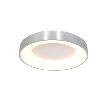 Steinhauer Ringlede Ceiling Light black, 1-light source