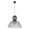 Steinhauer Dunbar Pendant Light black, 1-light source