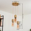 Dulcita Pendant Light brass, 3-light sources