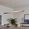 Goun Pendant Light LED matt nickel, 2-light sources
