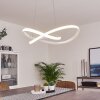 Pitasch Pendant Light LED white, 1-light source