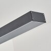 Seaton Pendant Light LED black, 1-light source