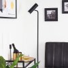 Zuoz Floor Lamp chrome, black, 1-light source