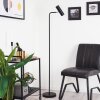Zuoz Floor Lamp chrome, black, 1-light source