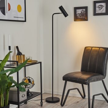 Zuoz Floor Lamp chrome, black, 1-light source