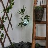 Beo solar light LED green, black, 1-light source