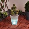 Dimouri solar light LED white, 4-light sources