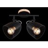 Globo JOSINA Spotlight brown, 2-light sources